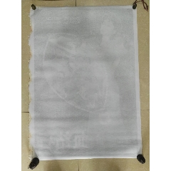 仿制威斯康星州 ID